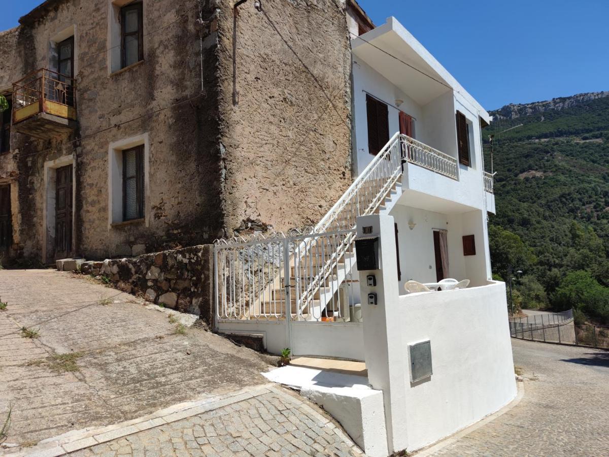 Villa Sa Dommu 'e su coro à Triei Extérieur photo